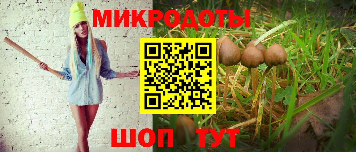 Галлюциногенные грибы Psilocybine cubensis Спасск-Дальний