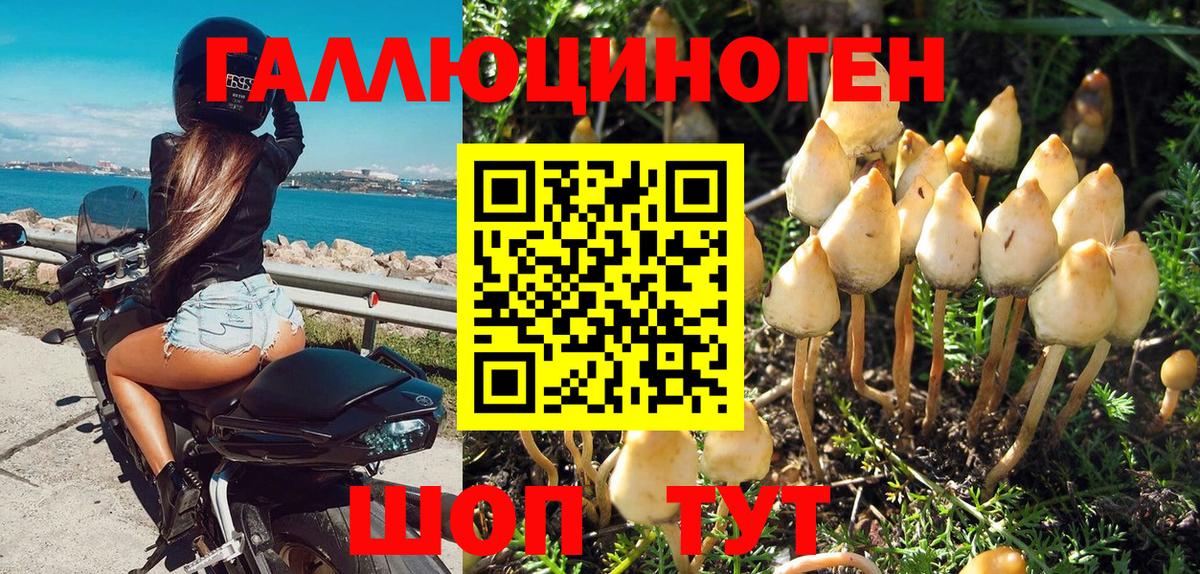 Спасск-Дальний  Галлюциногенные грибы ЛСД  Вход с VPN 